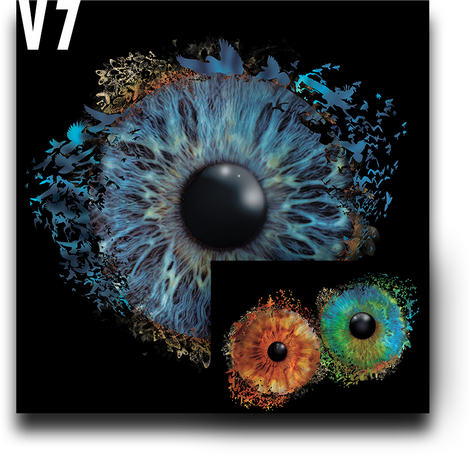 Iris Auge Fotografie