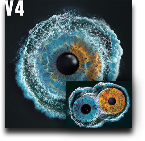 Iris Auge Fotografie