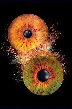 2 Iriden, 2 Augen Foto