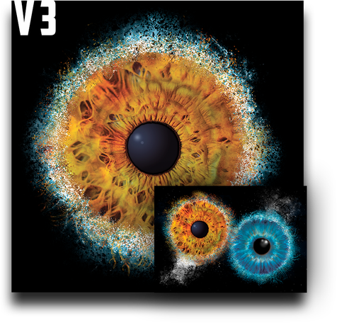 Augen Fotografie - Irisfoto