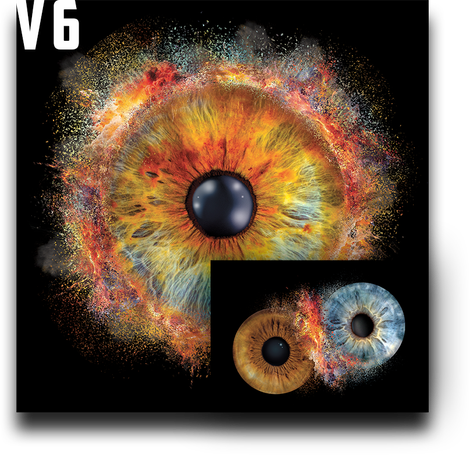 Augen Fotografie - Irisfoto