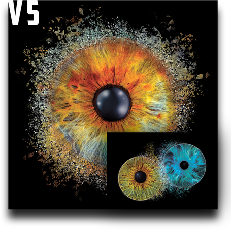 Augen Fotografie - Irisfoto