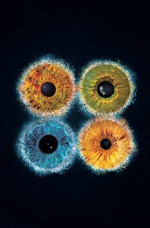 4 Iris Augen